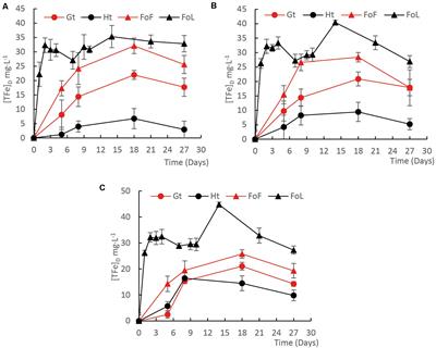 売り切れ必至！ Characterization Iron Oxides the in and Oxides Iron